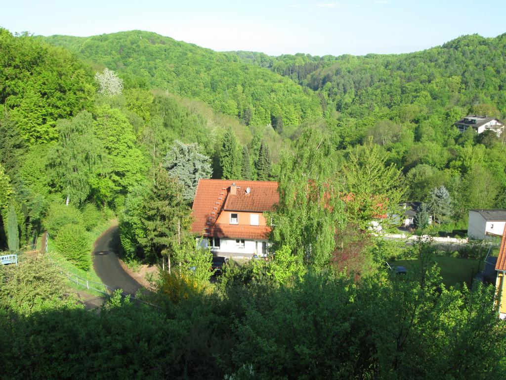 Schlossberg Waldeck (Hessen)