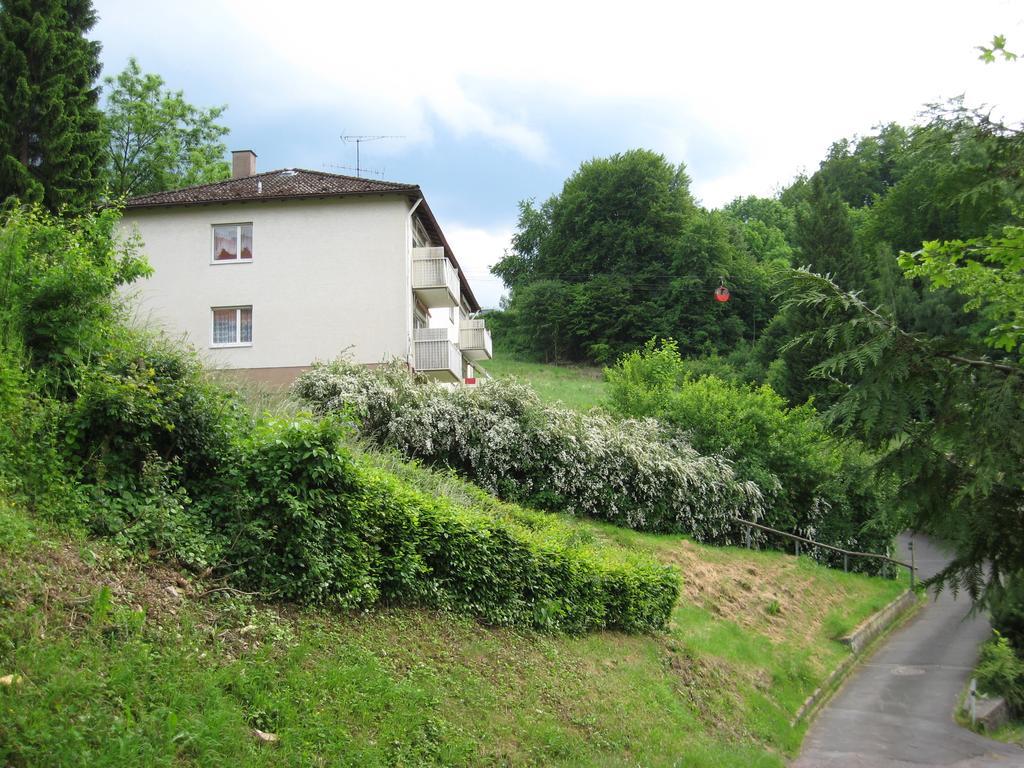 Schlossberg Waldeck (Hessen)